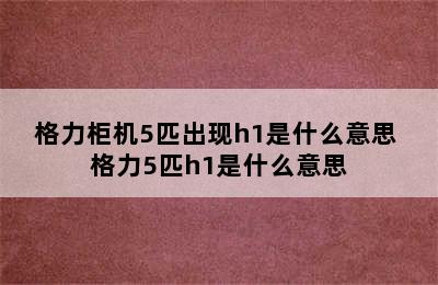 格力柜机5匹出现h1是什么意思 格力5匹h1是什么意思